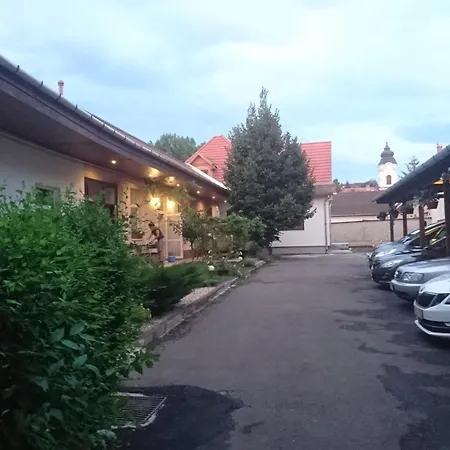 Nobilis * Eger